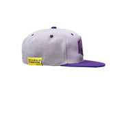 ALOCS SnapBack Hats By Desto Dubb