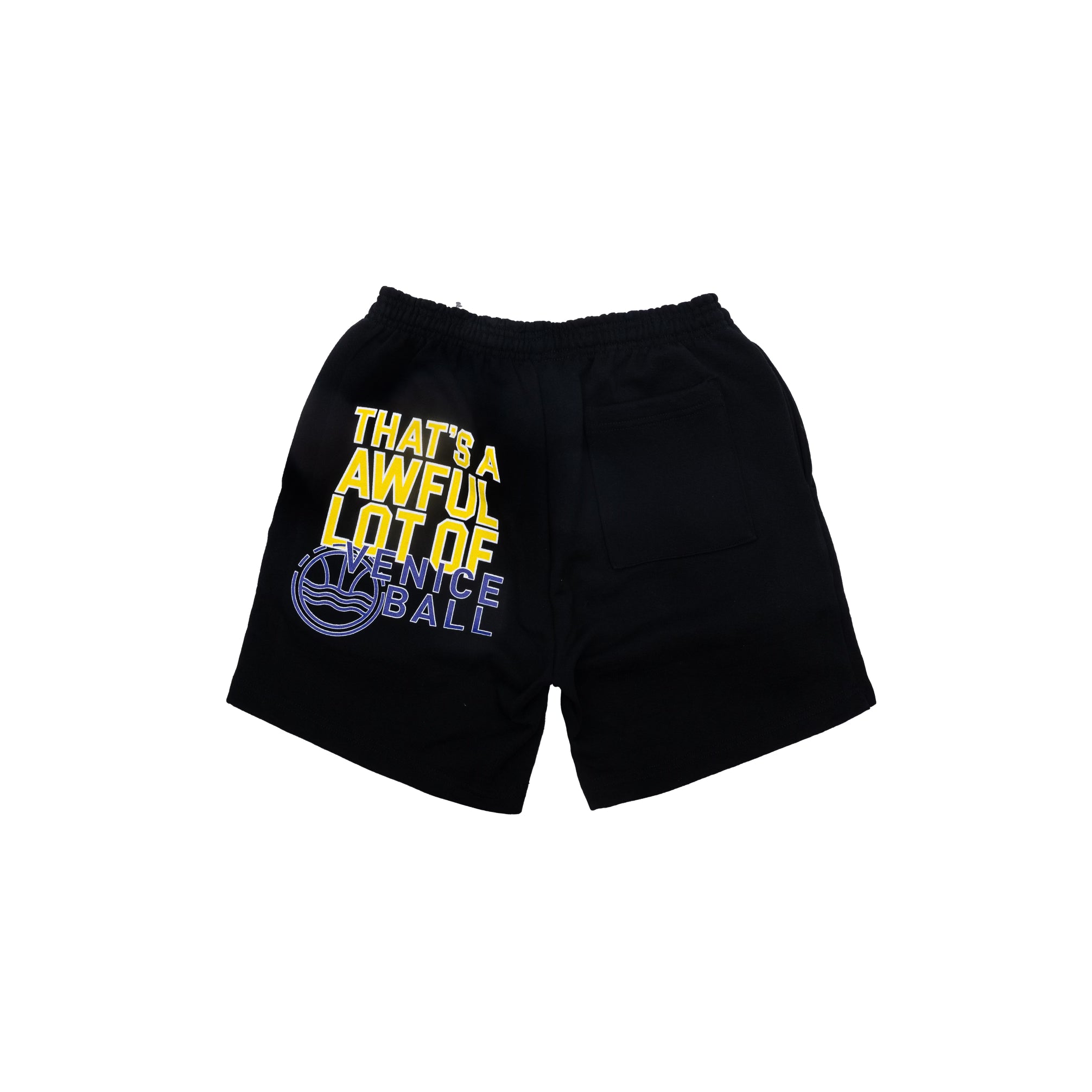 veniceballshortsback.heic
